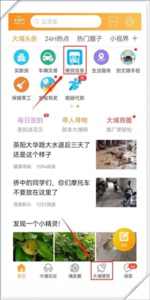 大埔网2